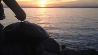 Szabadi Andrea - Lake Balaton Sunset with HandPan music