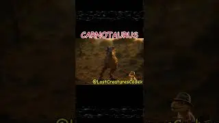 Carnotaurus Codex @LostCreaturesCodex  #facts #dinosaur #extinctcreatures #fossils #animals #bull