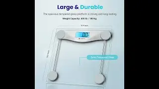 Amazon Etekcity Digital Body Weight Bathroom Scale Large Blue LCD Backlight Display High Precisio