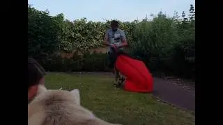 Laybay-Laysack-Airbag-Camping AirbedFAIL