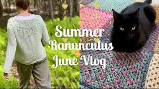 Summer Ranunculus, Iced Coffee & June Knitting Vibes