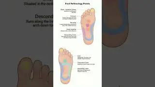 Foot Reflexology Points For Better Health