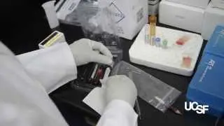 Sustainable Science to Promote Health in Africa