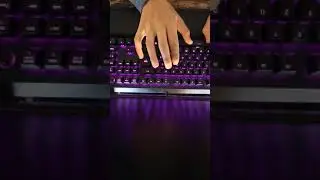Razer blackwidow elite yellow switches sound