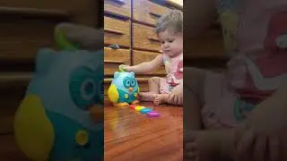 Rylie Reviews Learning Resources Hoot the Fine Motor Skills Owl
