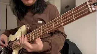 I will run by Exalt Worship (bass cover)