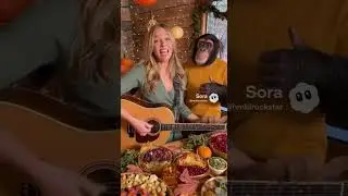 #vegetarian #thanksgiving #song❤️🥧🥐 #hmblrockstar