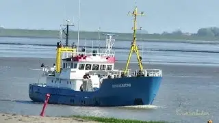 fishery research vessel SENCKENBERG DDAW IMO 8137213 Emden BJ 1976