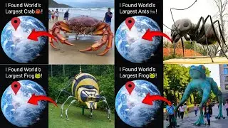 Top 5 mysterious locations on Google Maps 🤯😱 | #ddgoogleearth #googlemaps #earth616 #mapguide #maps 