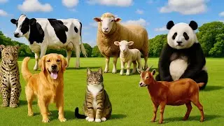 Funny Farm Animals | Cow, Sheep, Goat, Koala, Alpaca - Animal Sounds 