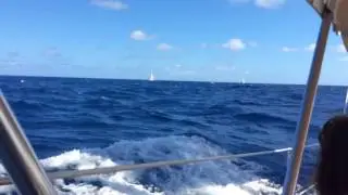 C&C 38 Landfall