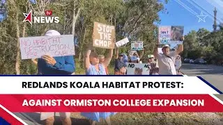 Redlands Koala Habitat Protest: Community Stands Against Ormiston College Expansion