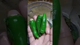 special Chatney/three different chuteny #cookingwithflavor #food #recipe
