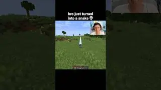 Minecraft Snake Moment