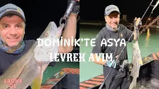 Dominik’te Gece Asya Levreği Avım #atçek #shorejigging #balıkavı #savagegear #atçekbalıkavı #fish