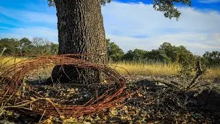 Building a Home at Spicewood Trails