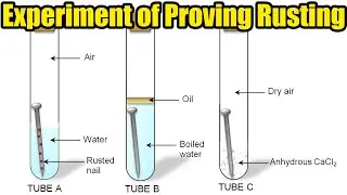 Experiment of Proving Rusting