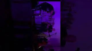 На пленэре &mdash; твайлайтспаркл #music #guitar #live #acoustic #trombone #cello