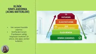 Thompson & Thompson Genetics in Medicine  9. Baskı - B&ouml;l&uuml;m 4