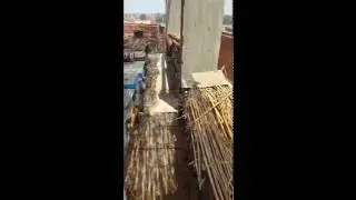 طريقة استخراج غذاء الملكات