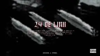 SKIDDA x PTRNL - 24 De Linii ⬆️ (official visualizer)