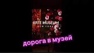 По дороге в ART Museum NYC| выставка впереди🥳