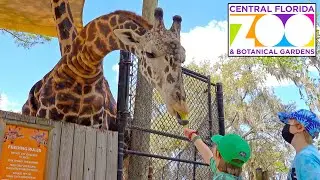 Central Florida ZOO Tour - Feeding a GIRAFFE & Petting Zoo Fun - Sony rx100 vii vlog 2022
