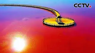如梦如幻、美不胜收！新疆伊吾：湖光幻彩随光变，草色悠然伴牧闲 | CCTV