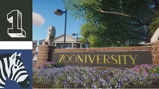 Zooniversity: Episode 1- Plains Zebra