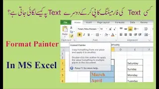 MS Excel- How to copy formatting from one text and apply it on another text |Format Painter|