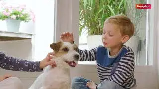 Beaphar: Canishield︱Help you dog fight parasites efficently