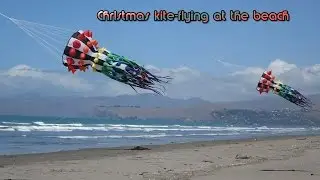 Christmas kite-flying 2015