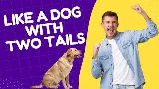 2 Like a dog with two tails - Idioms