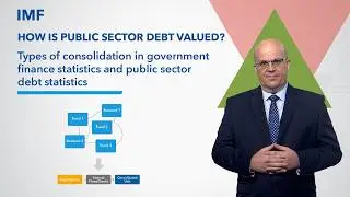 Types of consolidation in government finance statistics and public sector debt statistics