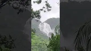 Dudhsagar Waterfall Up Close! #dudhsagarfalls #goadiaries