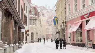 Tallinn Old Town Winter Walk | Snowstorm, Ambient Sound
