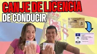Canje de licencia de conducción en España 🇪🇸