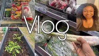 Vlog | Spend the day + Frozen Container Garden + Lemongrass Stalks  + Dollartree Dome Cloche