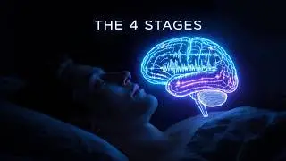 Why Sleep is Non-Negotiable: The Science of Biological 