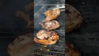#flame #grilled #chicken #grilledchicken @Stephanos #reels #food #hummus #asmr #greek #mediterranean