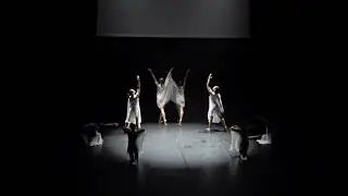 BIRDS° - création chorégraphique danse contemporaine 2025