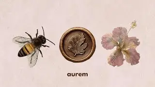 Golden Work Flow | Lo-fi for Focus, Balance and Feminine Creativity