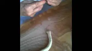Come fare la pasta fresca: le orecchiette