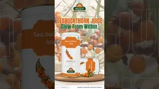 Sea buckthorn  Juice | Seabuckthorn  Juice  #seabuckthorn #biosash #biosashhealth #shortsfeed #short