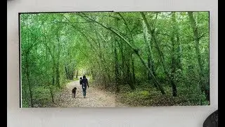 Costco Photo Book Review Nice Softw are, Uneven Book Quality