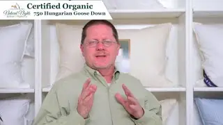 All About Natural Nights Certified Organic Luxury Down Pillows | Down & Feather Co. YouTube Channel