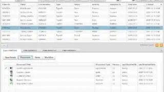 PaperWork- An Adobe Flex CEVA for IBM FileNet P8 BPM