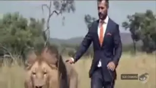 Leones juegan f&uacute;tbol con su amigo humano