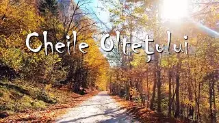 Cheile Oltetului