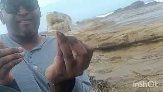 Fishing at Sheffield, fishing for kingfish